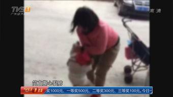 国产小幼女在线视频社区,网络迷雾下的隐秘世界