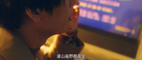 国产东北女 在线观看,国产影视佳作在线观看指南