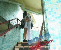 国产楼道门在线 mp4,探索现代家居安全与美观的完美融合