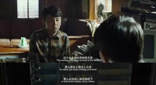 国产情爱小视频在线观看,私密情感瞬间，在线观看揭秘