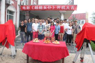 国产女佣电影在线观看,揭秘家政服务业背后的感人故事