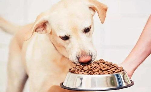 国产 美脚 喂食 在线,在线喂食，足下风情无限