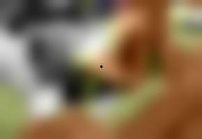 国产欧美版在线播放豪华,畅享视听盛宴的全新体验之旅