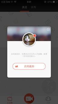 国产 中文在线播放