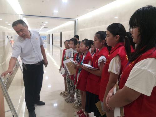 国产操鸡在线播放,揭秘操鸡在线播放背后的故事与影响